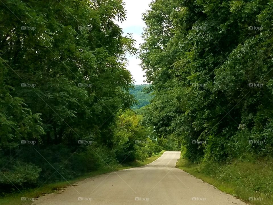 Driving the Back Roads and enjoying everything around us