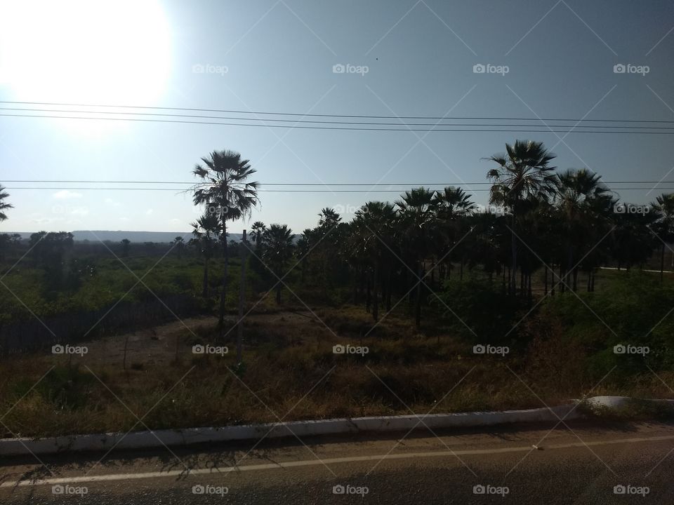 em algum município de Ceará