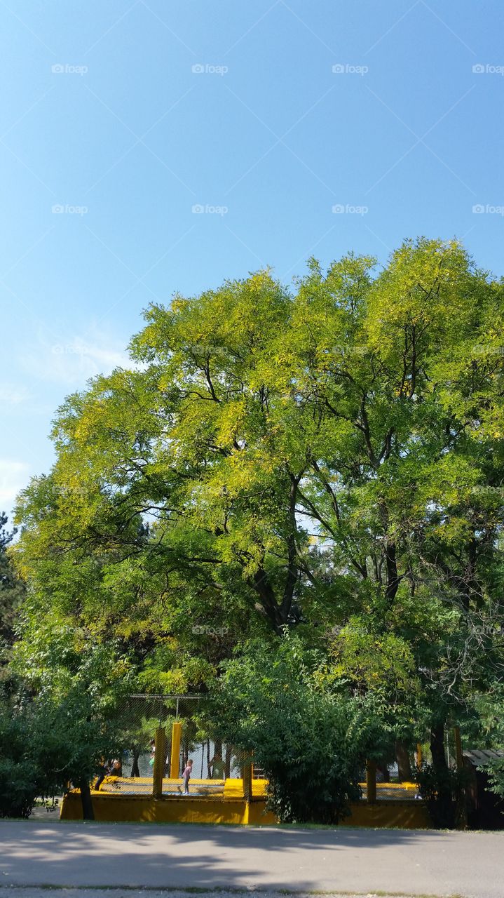 A sunny day in the Park