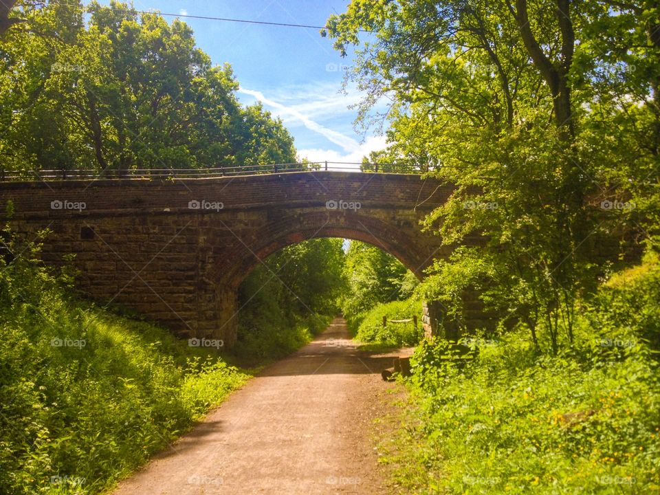 View of road passing through forest