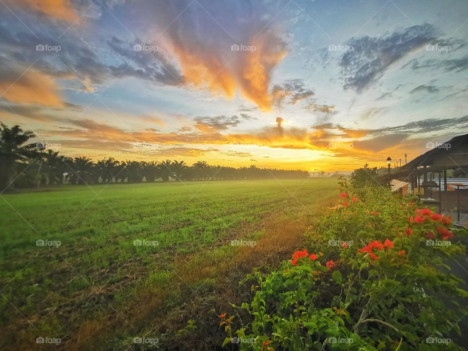 Sunrise view over the countryside Malaysia