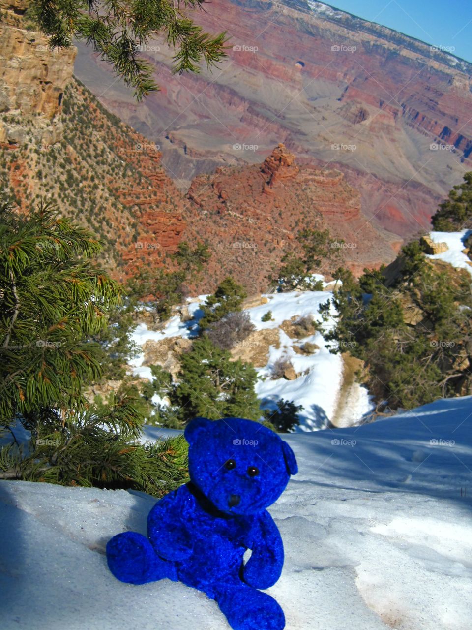 On the road with Blue Bear