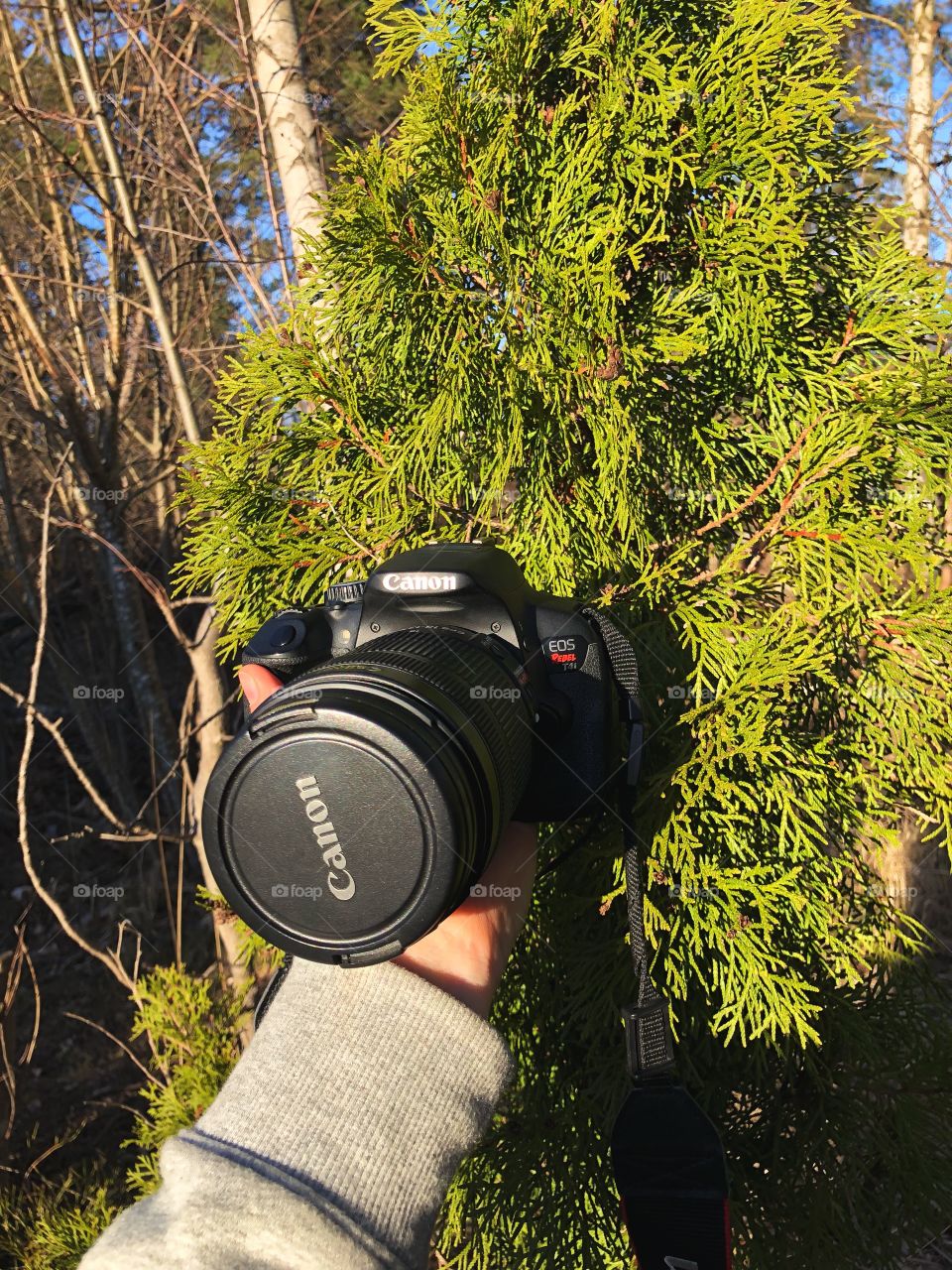 Spring vibes in Sweden