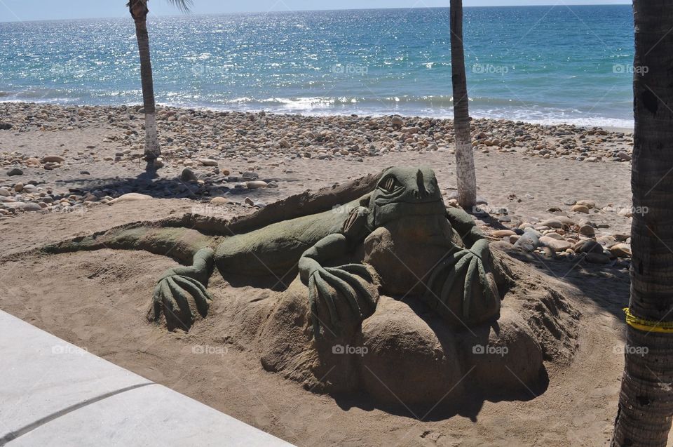 Iguana Sand Sculpture