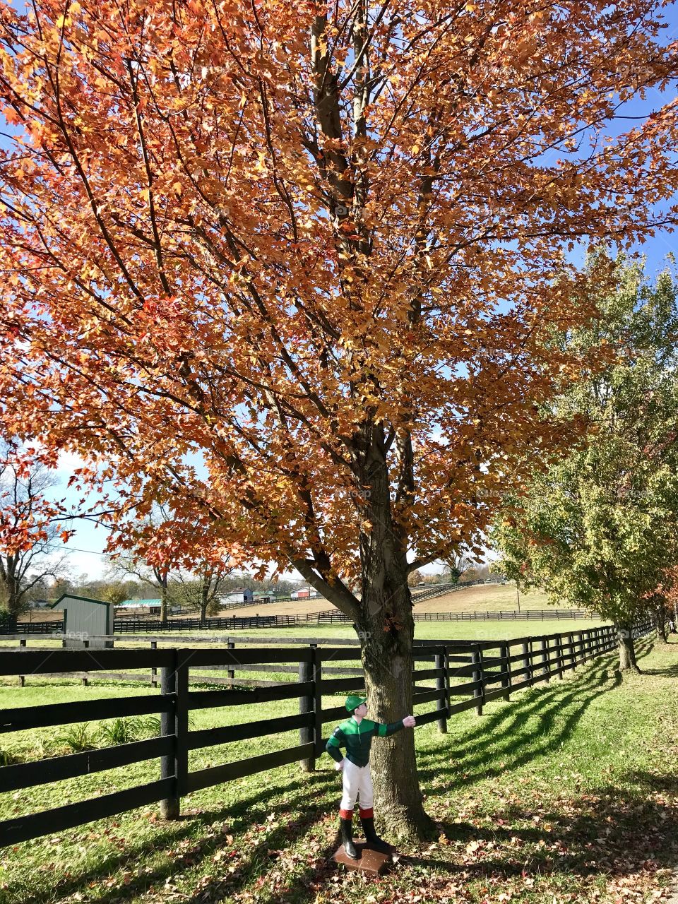 Kentucky fall 