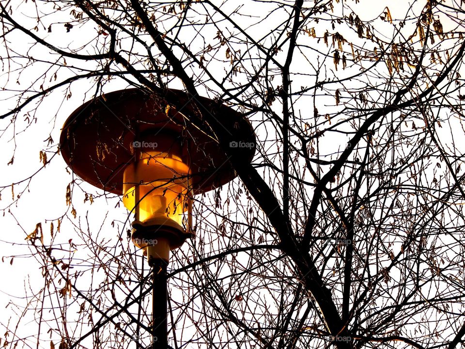 streetlamp