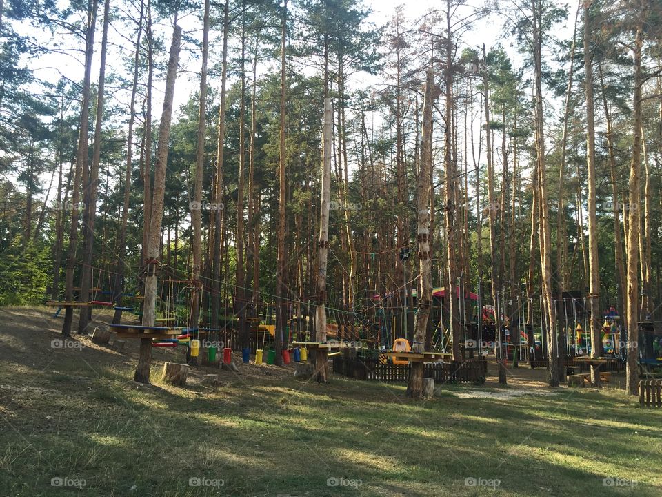 Rope ladder playground