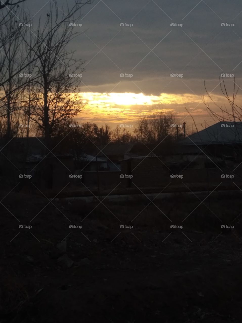 Добрый день