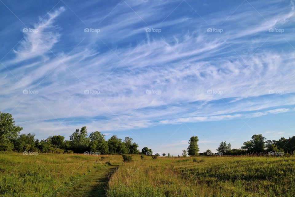 Fields of Gold. July morning hike in Oak Creek, WI