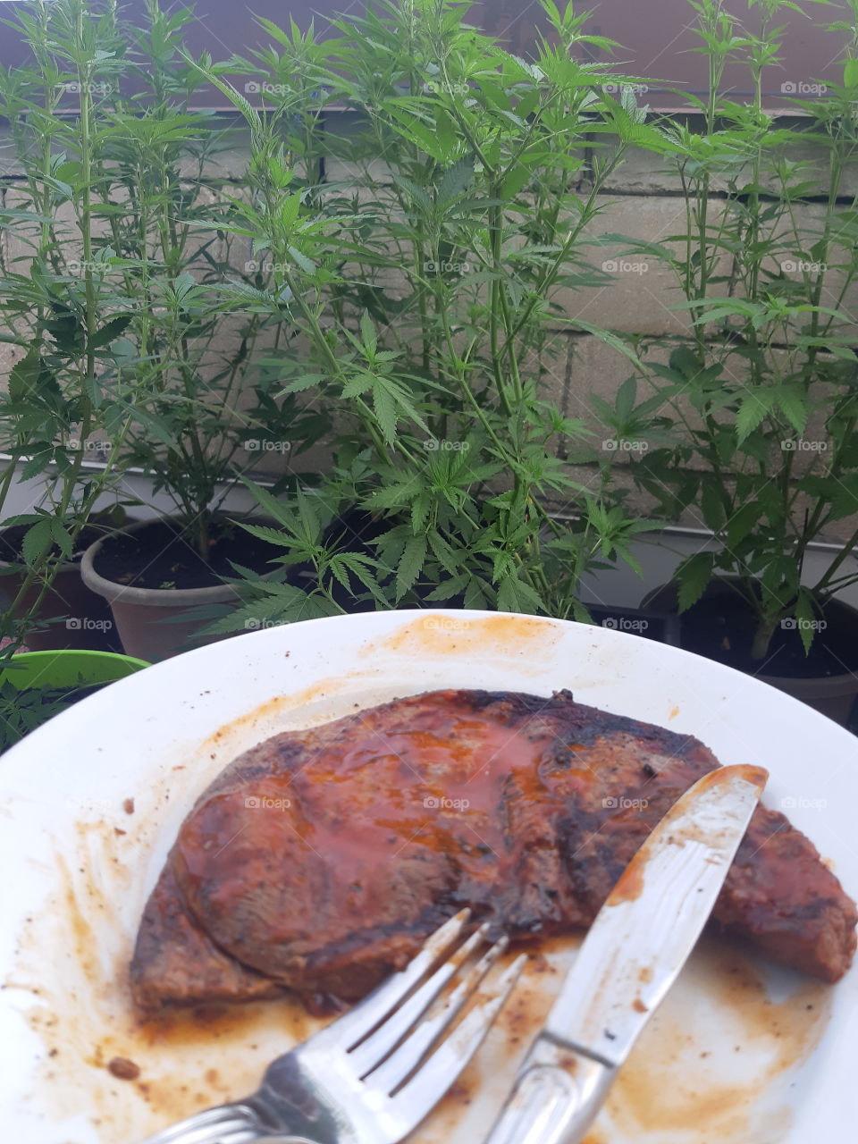 Steak and Marijuana