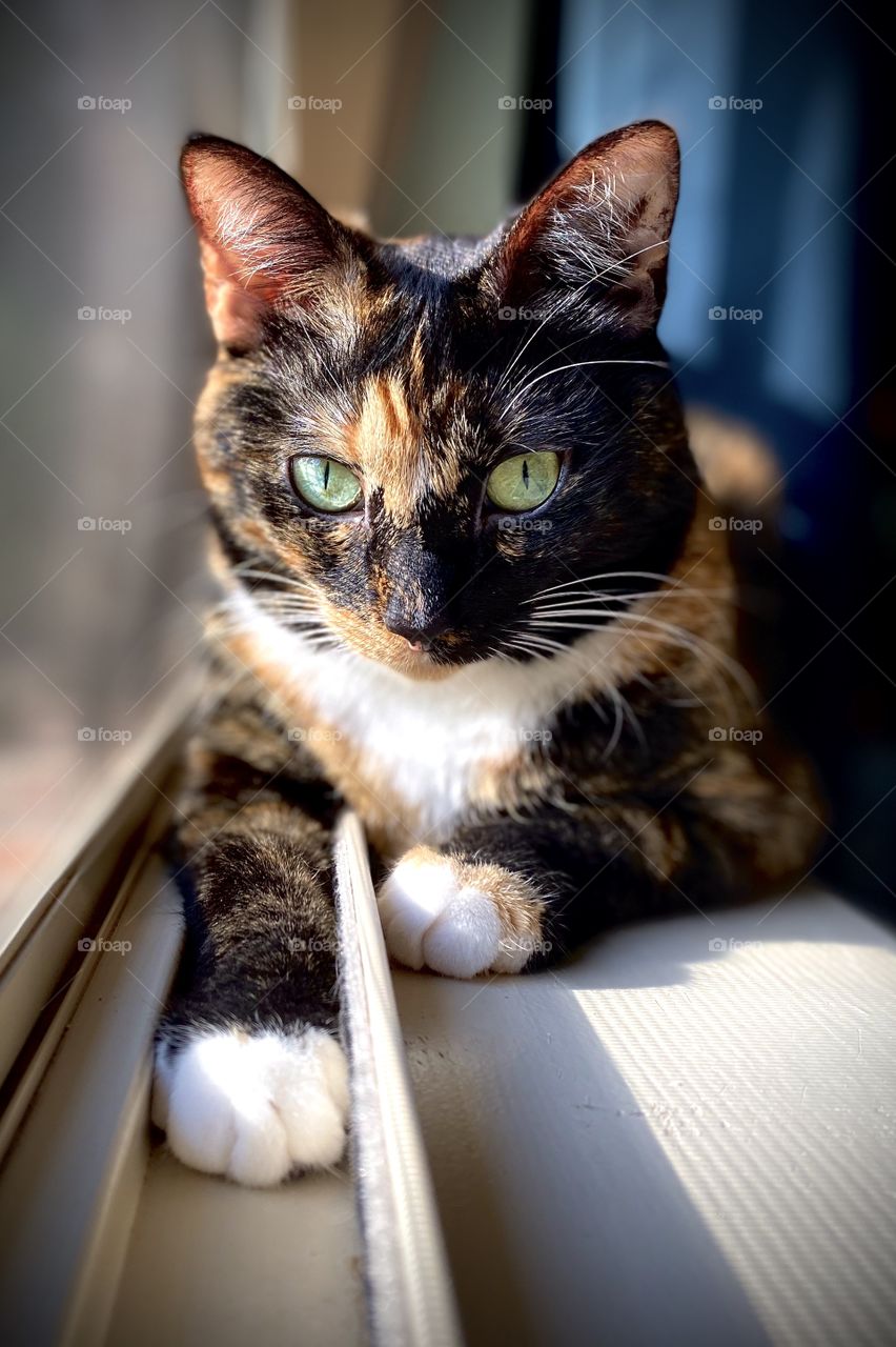 She just gets prettier everyday! And she knows it all too well. 