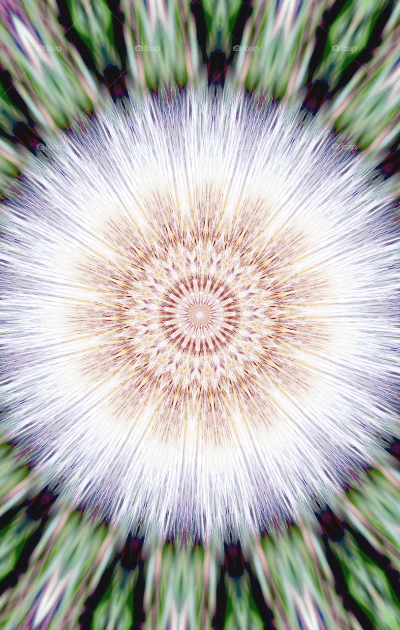 dandelion flower kolidiscope design