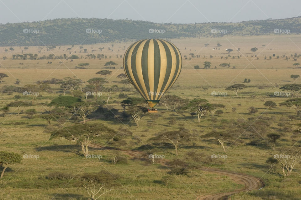 Hot-air balloon over Serengeti National Park in Tanzania.