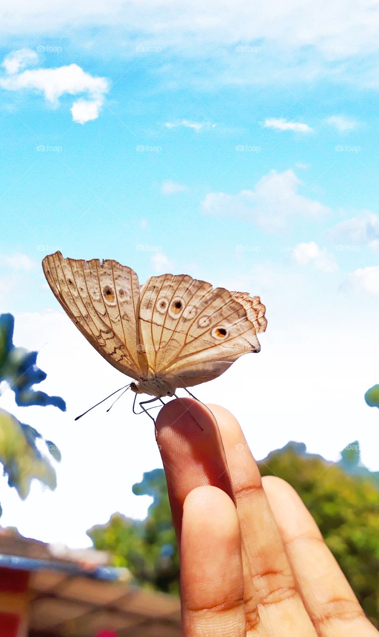 love on fingertip💞