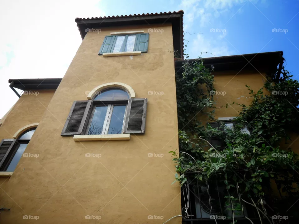 window