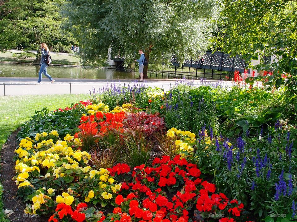 Beautiful bright and colorful flowerbeds in an urban park landscaping on a sunny summer day. 