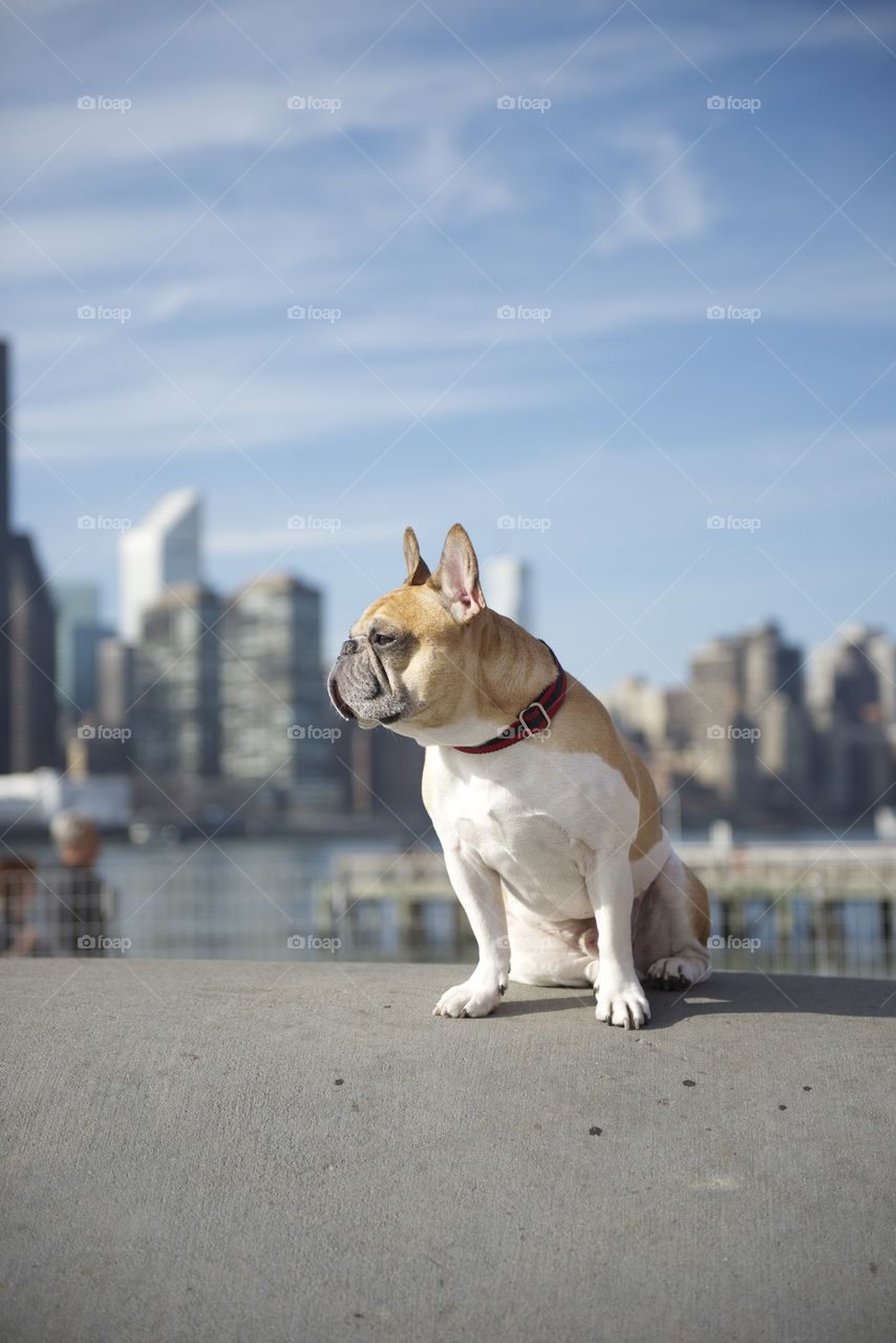 Staring with Skyline