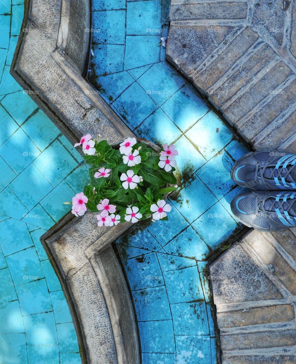 A little pool with blue tiles in a yard in the middle of city with a flower pot on its corner with fresh flowers in it. blue color dominant.