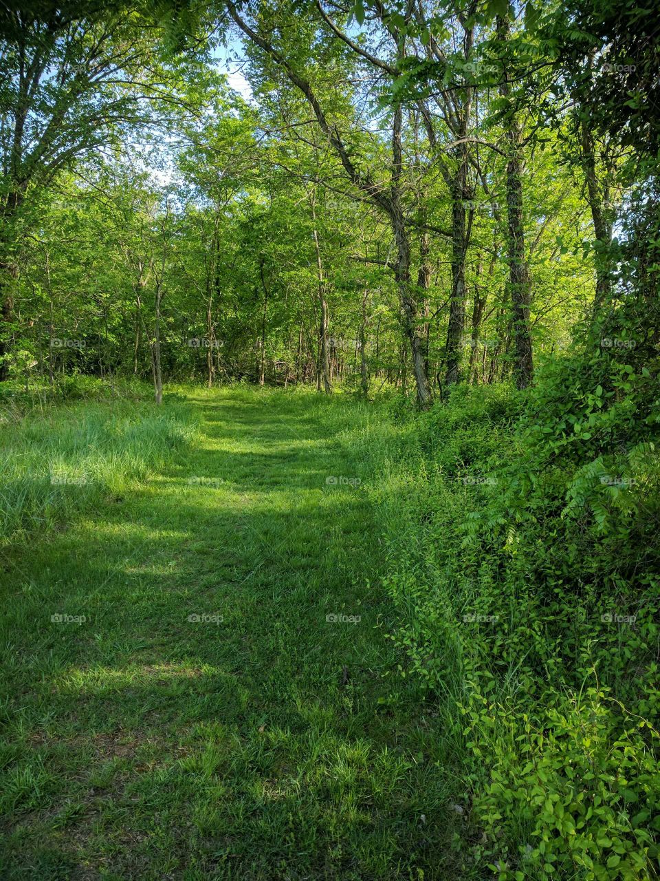 nature walk