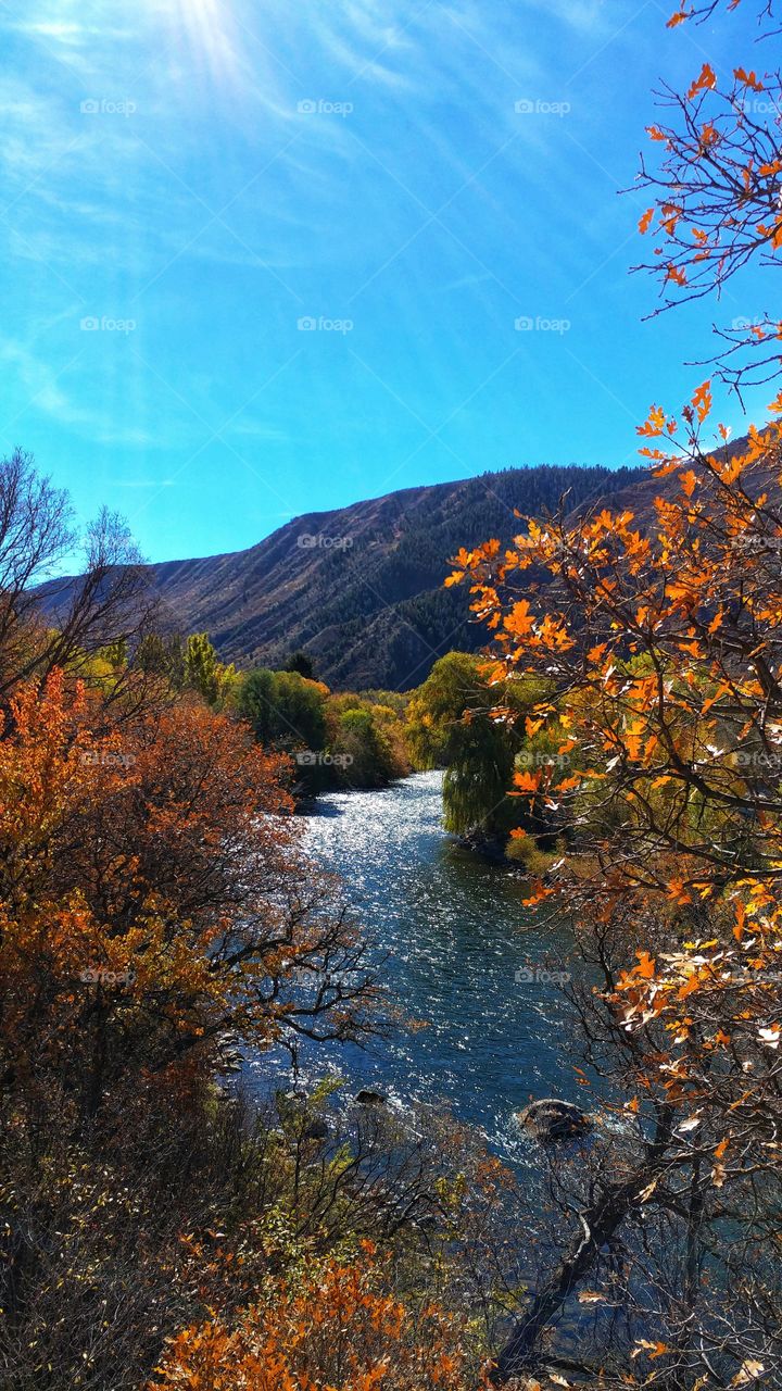 Breathtaking colors of late fall in the Roaring Fork River Valley.