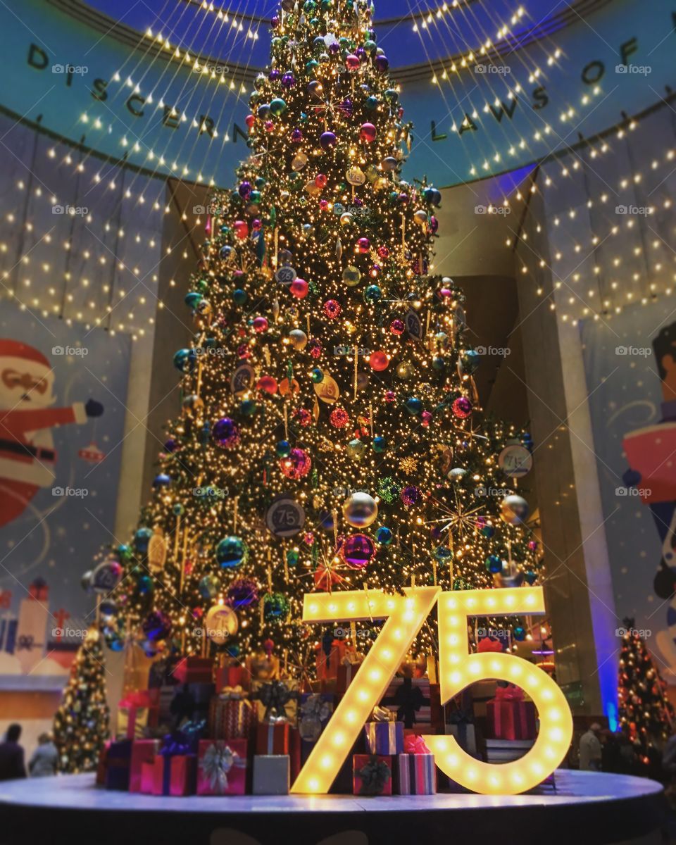 christmas tree at the museum 