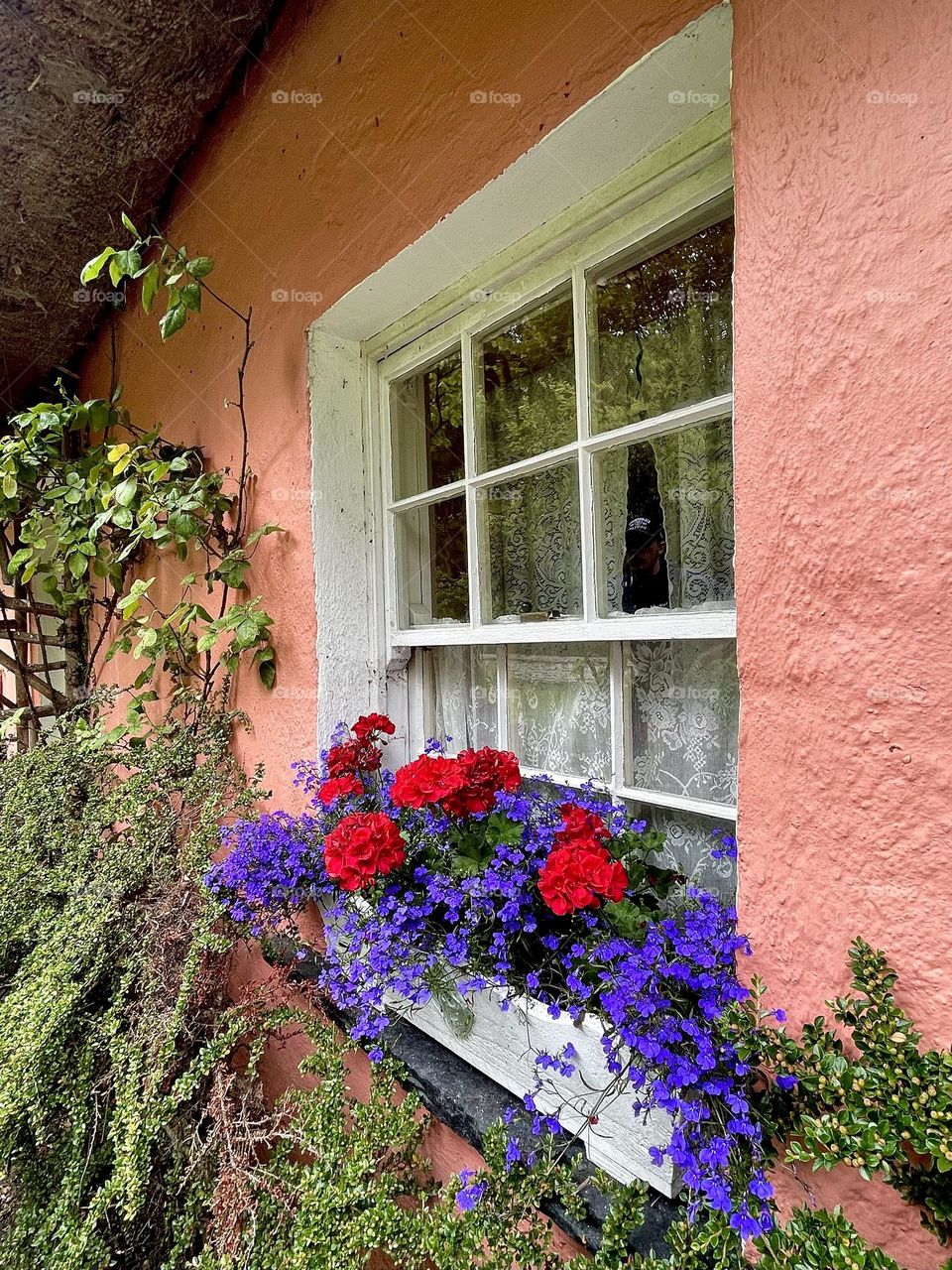 Colorful flowers bloom in a window box on a window of an Irish cottage.