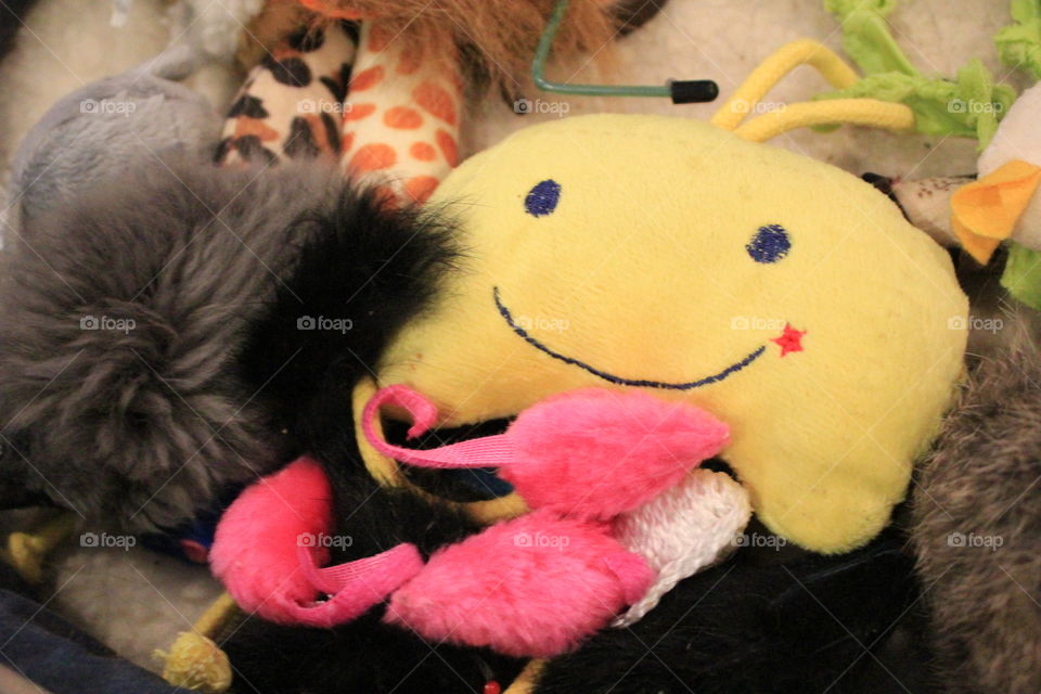 Cat toys including a smiley face