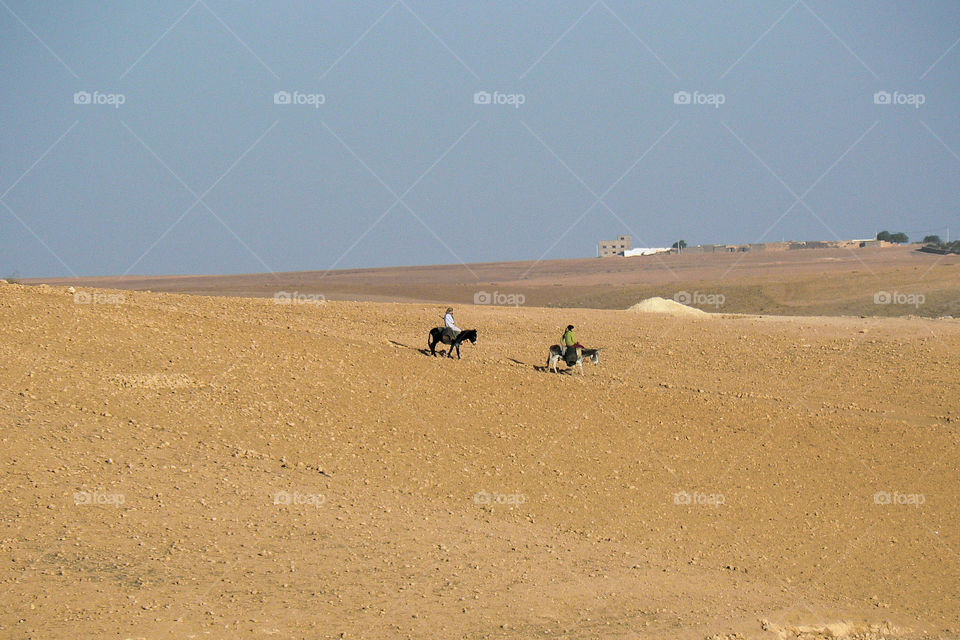 Riders cross the desert sands 