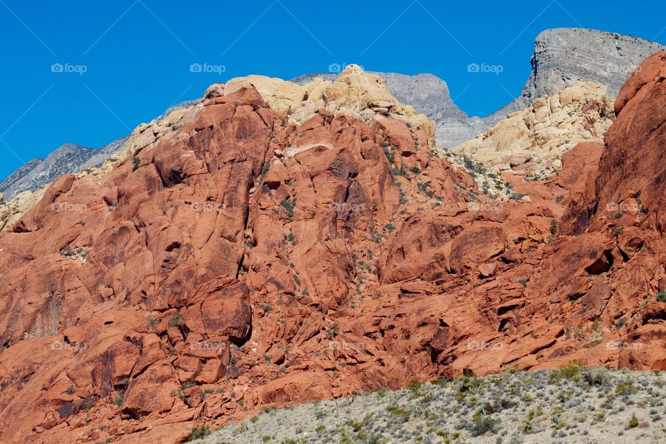 Red Rock Canyons