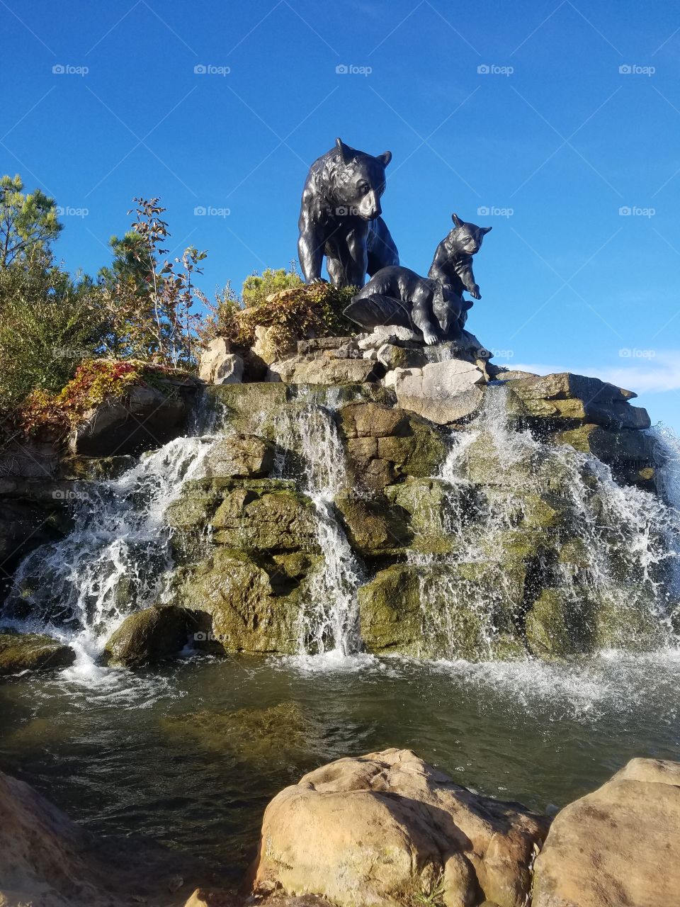 bear fountain