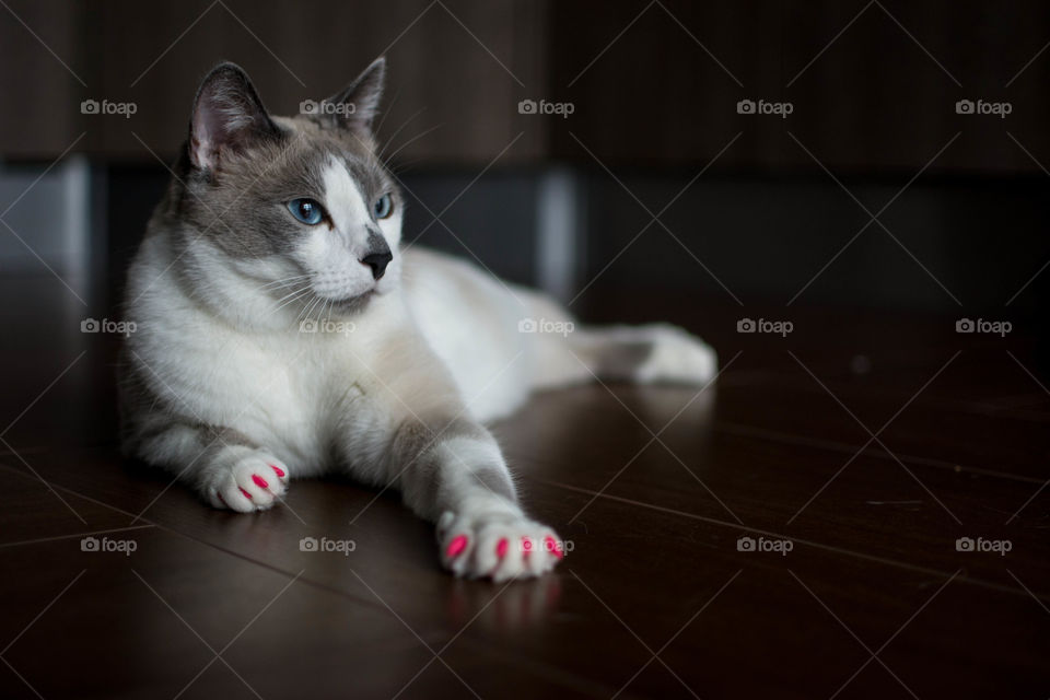 glam. Tima with pink nails