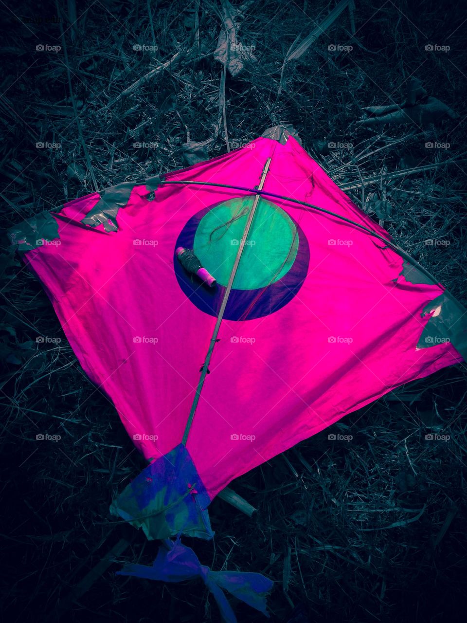 A kite in the garden