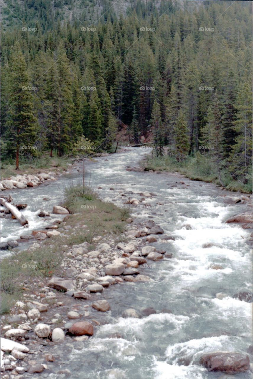 Canadian Rockies