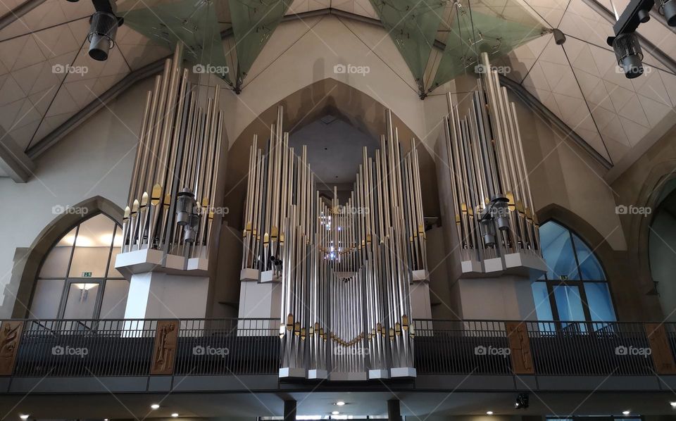 Das Organ