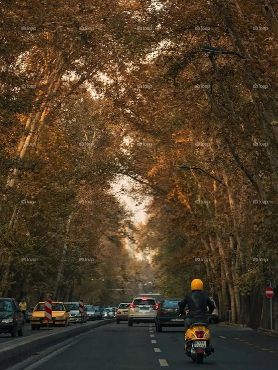 In a street full of cars motorcycle is an independent thing.