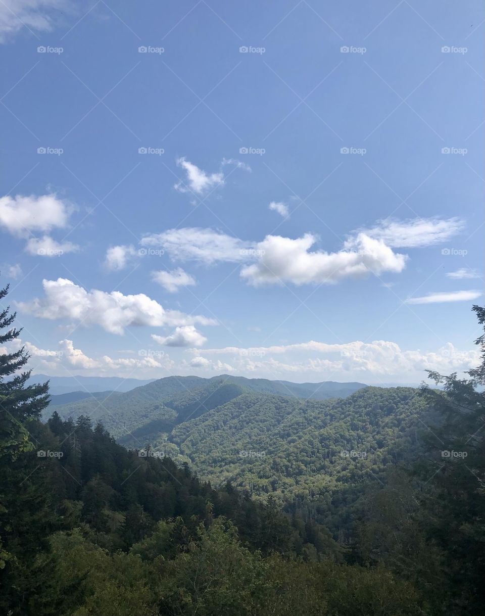 Absolutely Gorgeous, Breath taking view looking out over The Great Smoky Mountains.