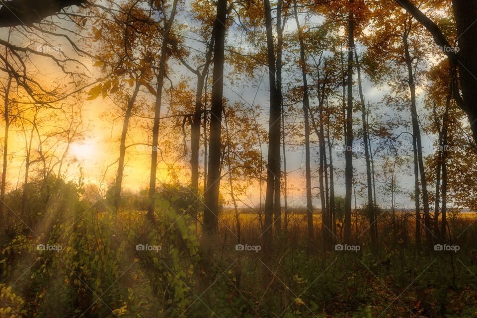 Passed down like folklore…our love lasts so long