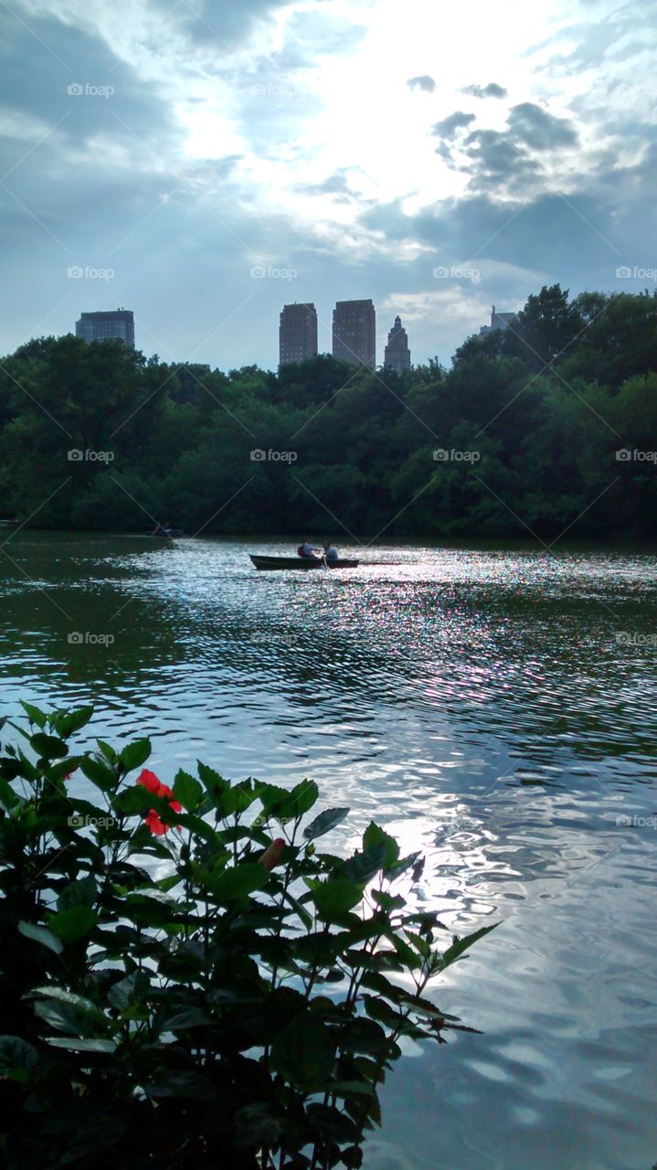 Lake at Central Park. at Central Park