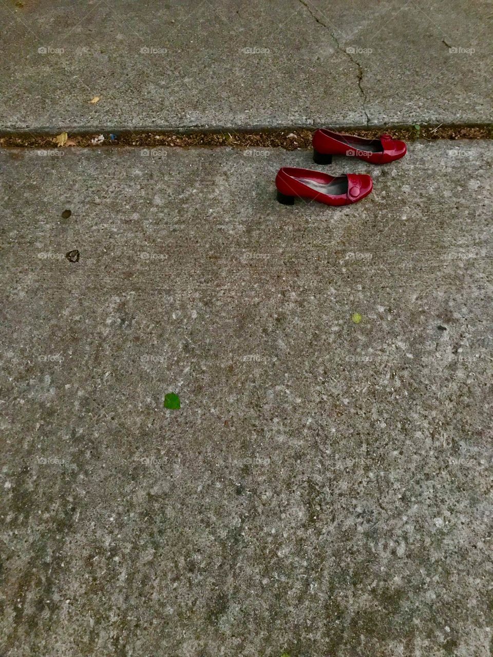 Lost Ruby Red Shoes