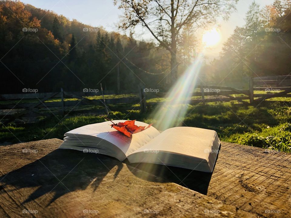 Sunrays on the book