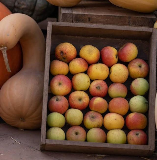 apple