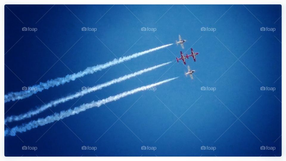 snowbirds of Canada 07