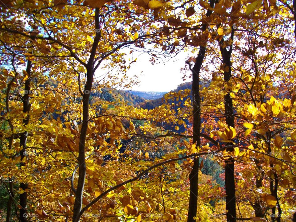 An Amazing Autumn View