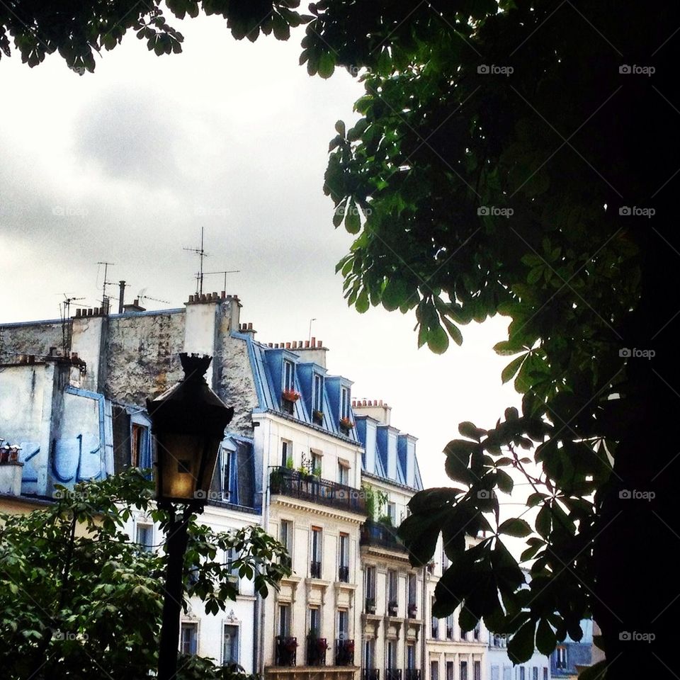 Parisian rooftops 