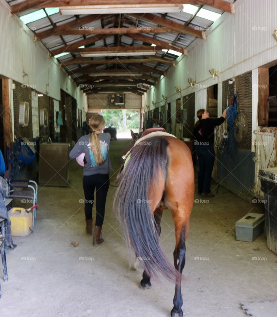 Stables