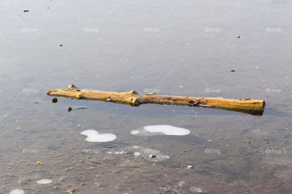 A branch floats on top of the icy water