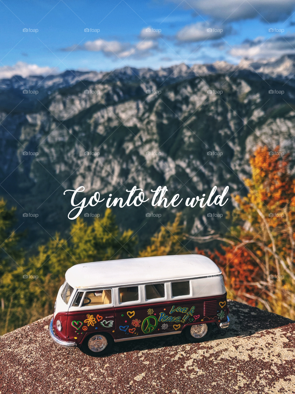 Go into the wild