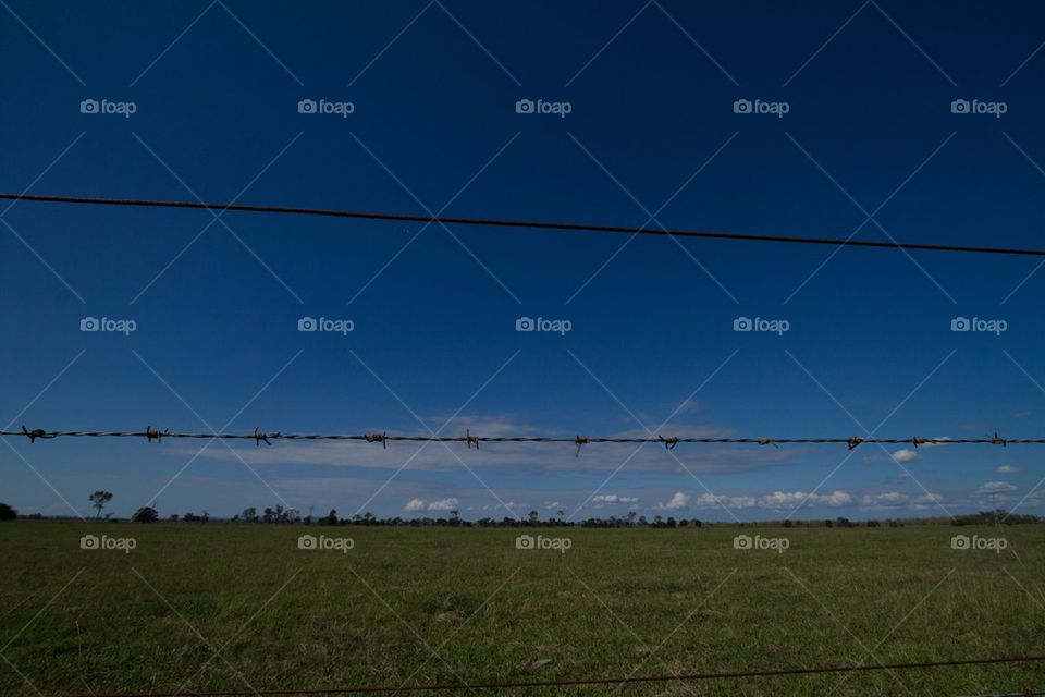 Barb Wire Fence Landscape 