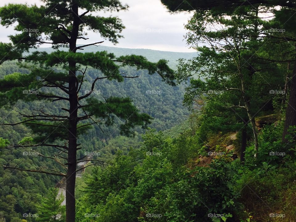 Leonard Harrison State Park PA