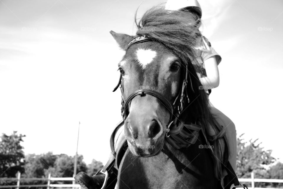 Closeup of person riding a horse
